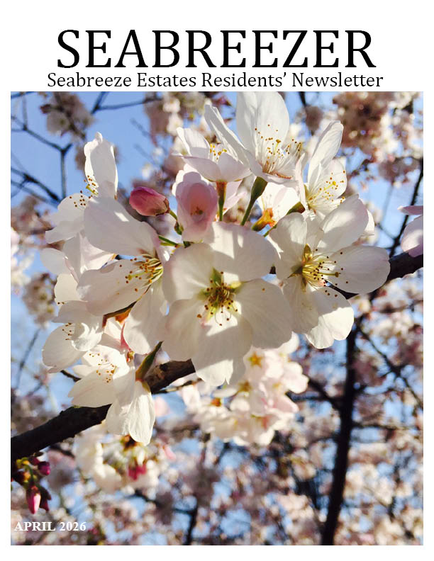 Seabreeze Mobile Estates